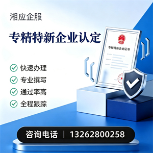 四川专精特新企业申报服务