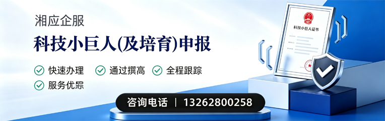 四川科技小巨人及培育企业申报服务