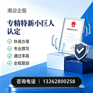 四川专精特新小巨人申报服务
