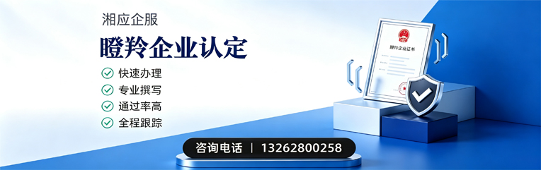 四川瞪羚企业认定申报服务
