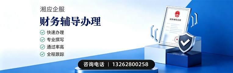 四川财务辅导申请服务