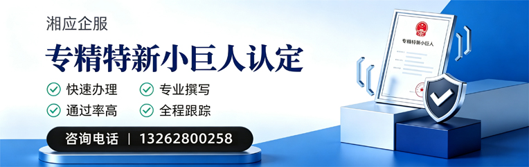 四川专精特新小巨人申报服务